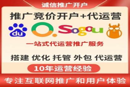 竞价推广策略：某电商平台的成功案例