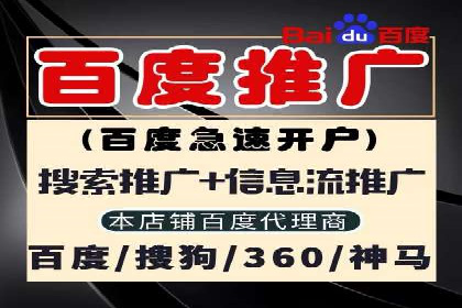 谷歌SEM广告投放策略解析：一家旅游公司的成功案例